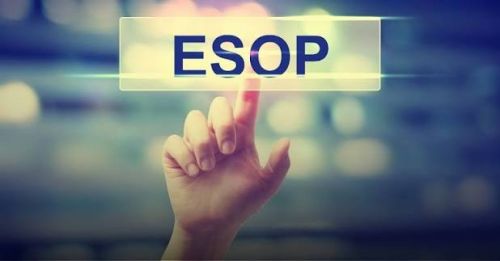 Taseco Land dự kiến phát hành 10 triệu cổ phiếu ESOP, tăng cường gắn kết đội ngũ và mở rộng hoạt động đầu tư